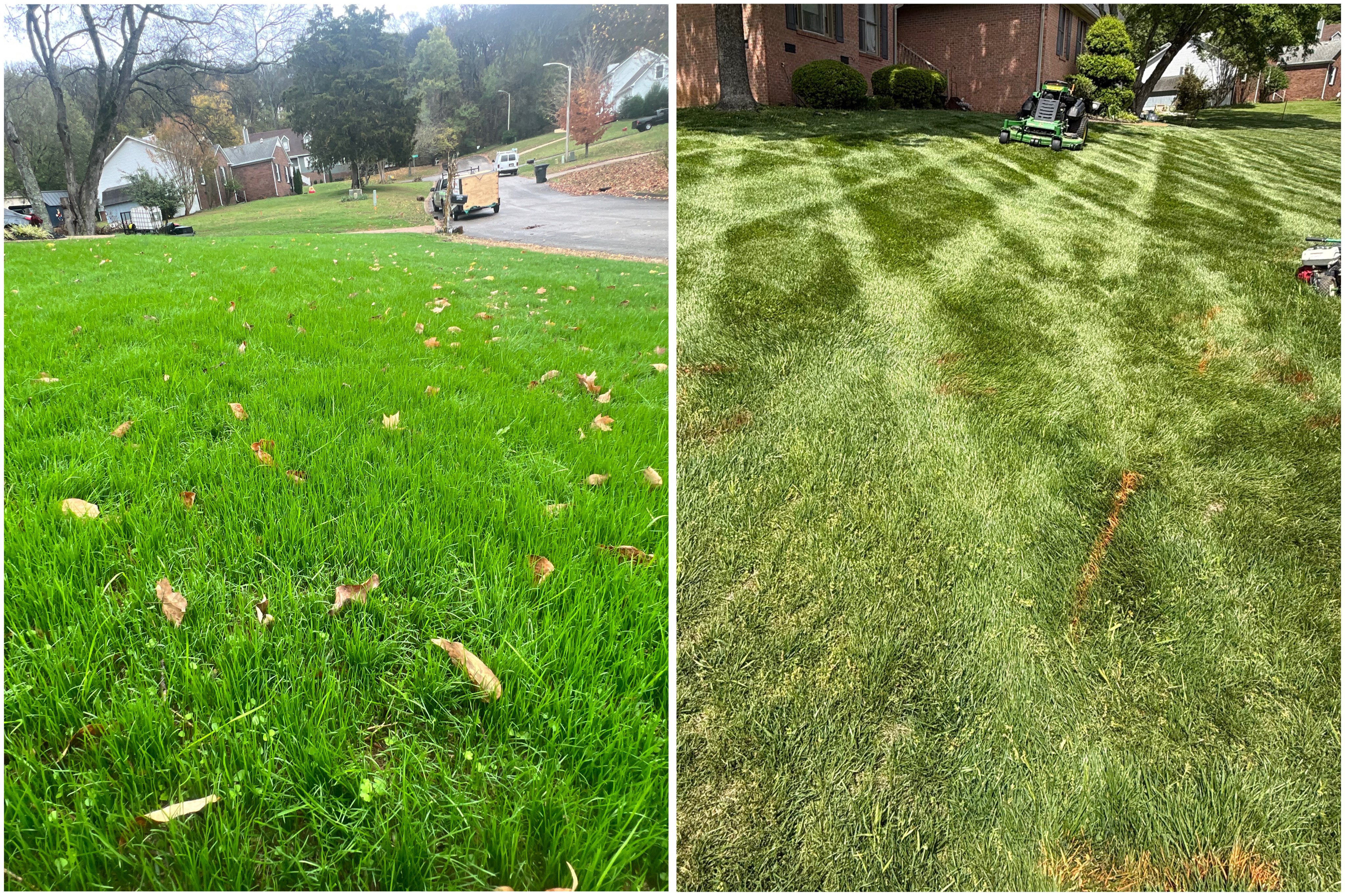 Before and after grass seeding service showing transformation from patchy lawn to lush green turf by HB Lawncare